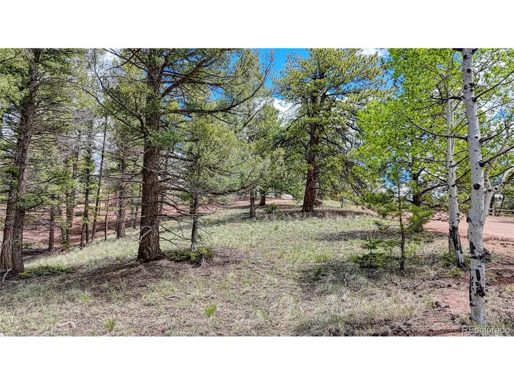 26 Eldorado Circle Florissant, CO 80816