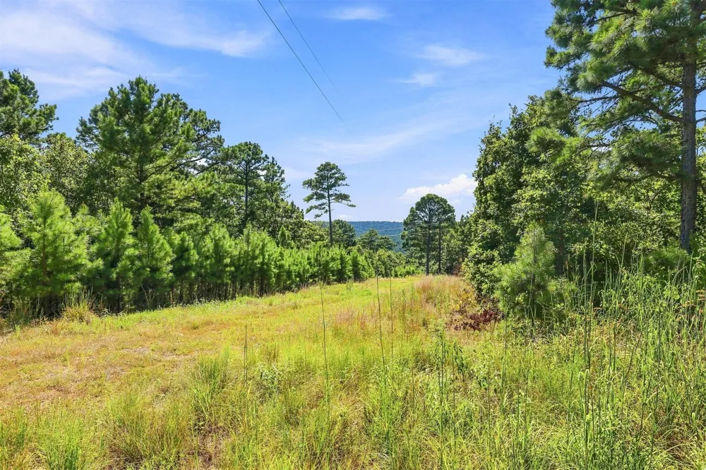 180746 W Sherman Road Moyers, OK 74557