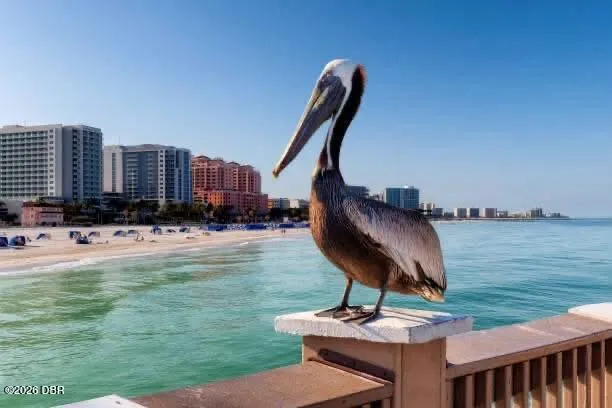 3047 S Atlantic Avenue #1002 Daytona Beach Shores, FL 32118