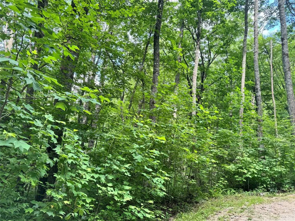 192 Shortoff Shadow Trail Highlands, NC 28717