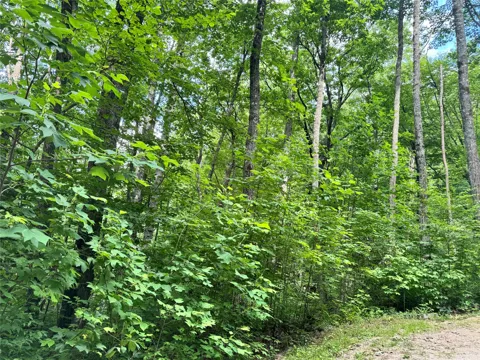 192 Shortoff Shadow Trail