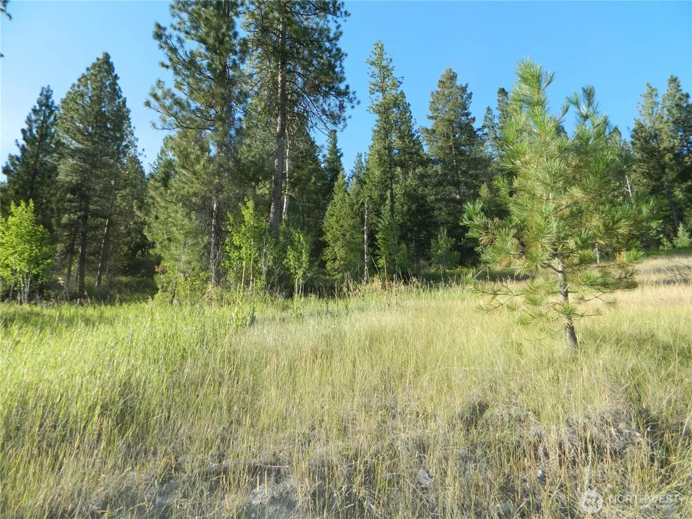 10 Sorona Way Tonasket, WA 98855