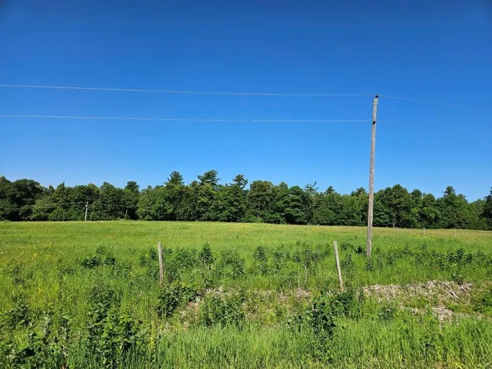 21392 340th Street Bagley, MN 56621