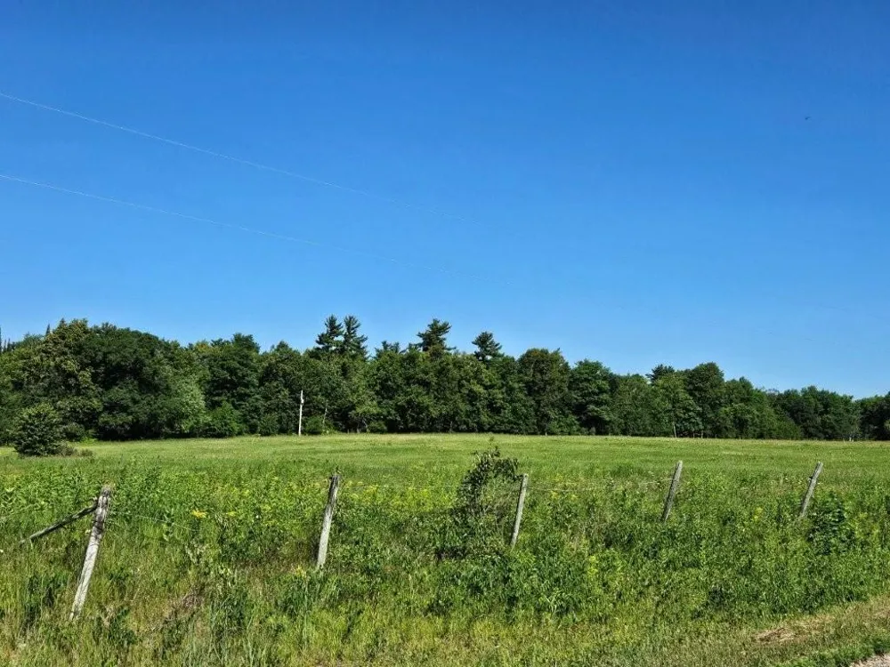 21392 340th Street Bagley, MN 56621