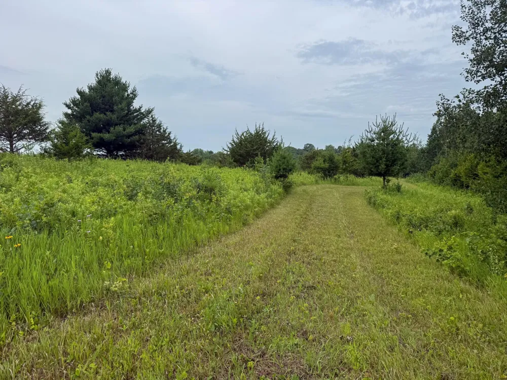tbd 590th Street Kellogg, MN 55964