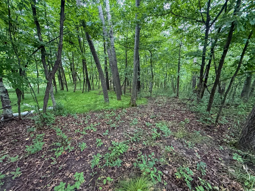 tbd 590th Street Kellogg, MN 55964