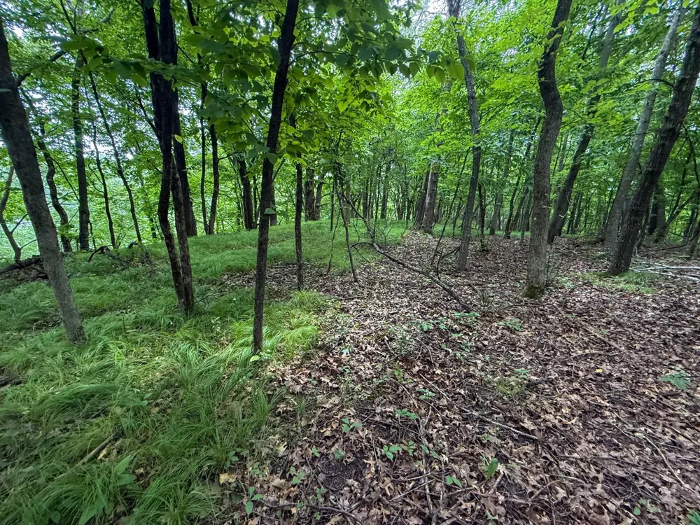 tbd 590th Street Kellogg, MN 55964
