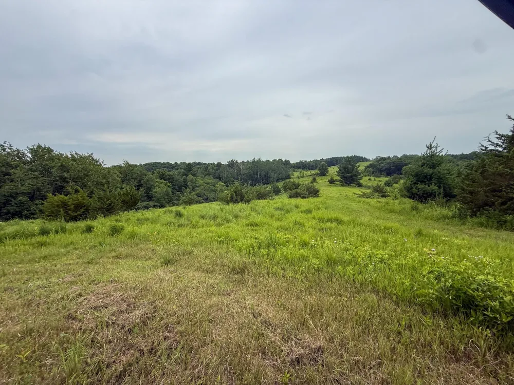 tbd 590th Street Kellogg, MN 55964