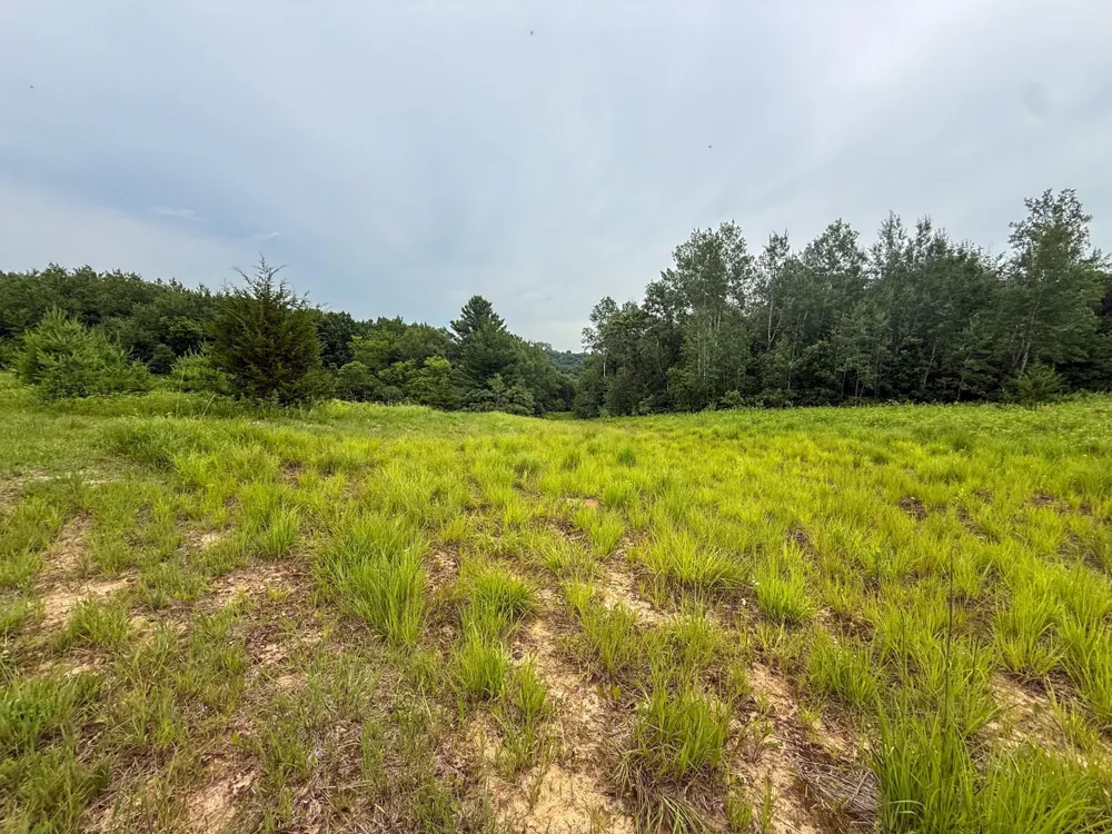 tbd 590th Street Kellogg, MN 55964