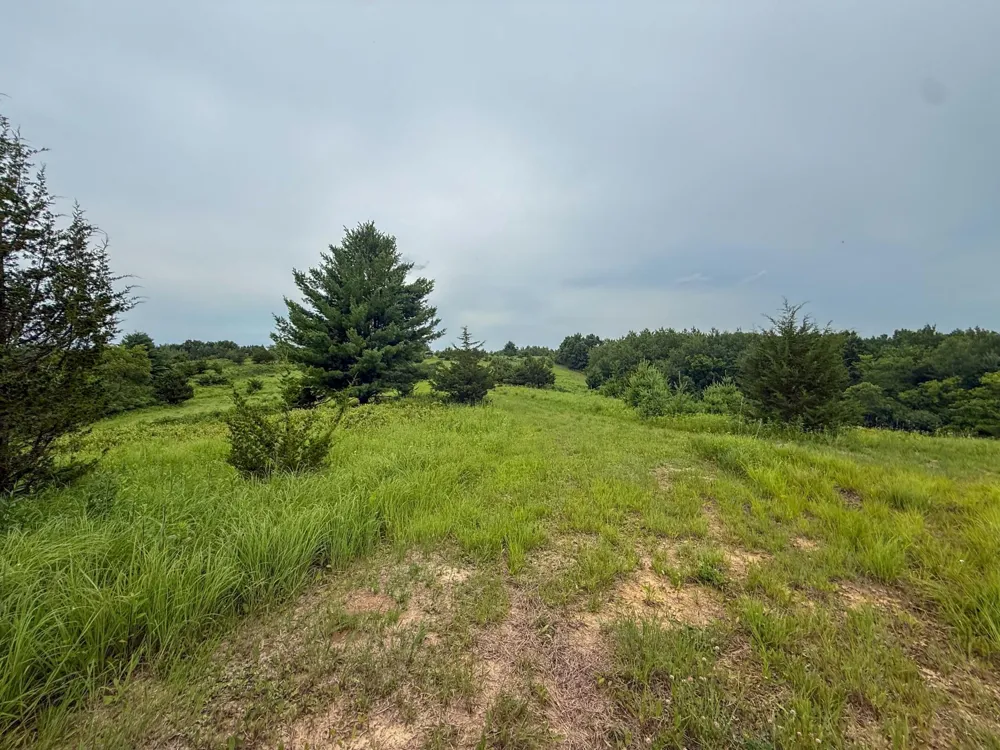tbd 590th Street Kellogg, MN 55964