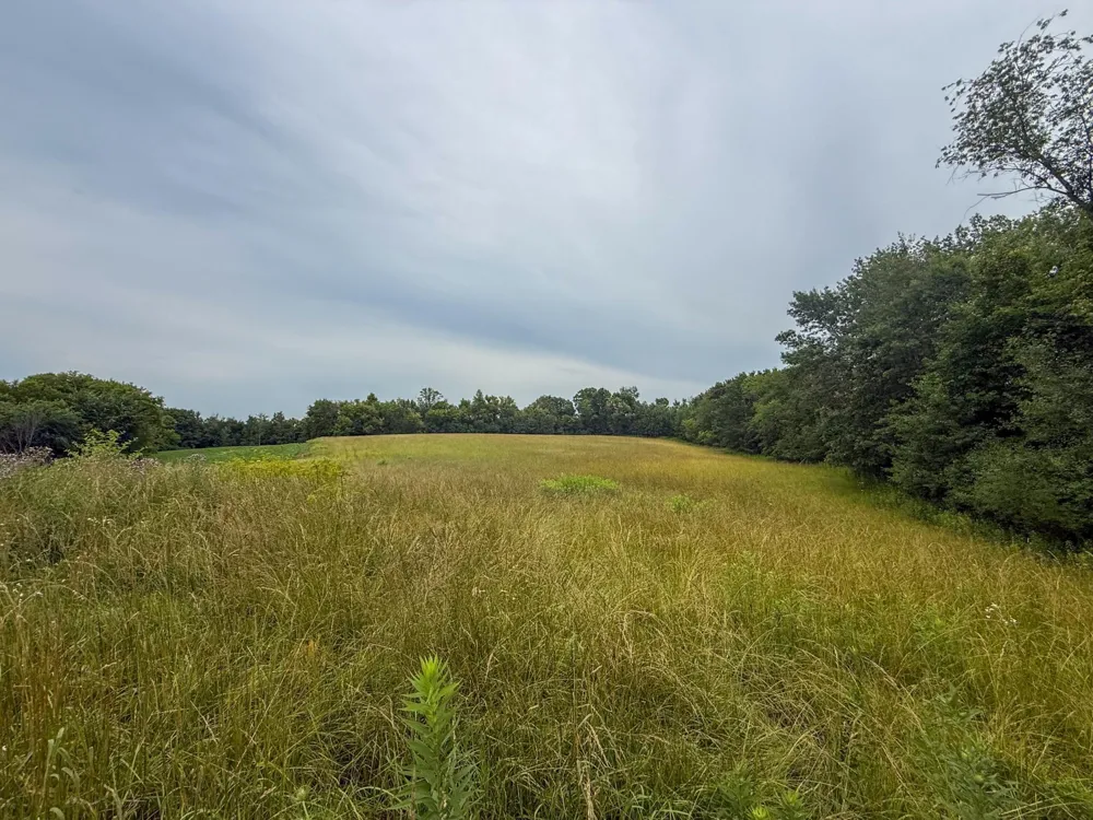 tbd 590th Street Kellogg, MN 55964