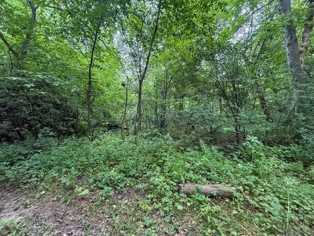tbd 590th Street Kellogg, MN 55964