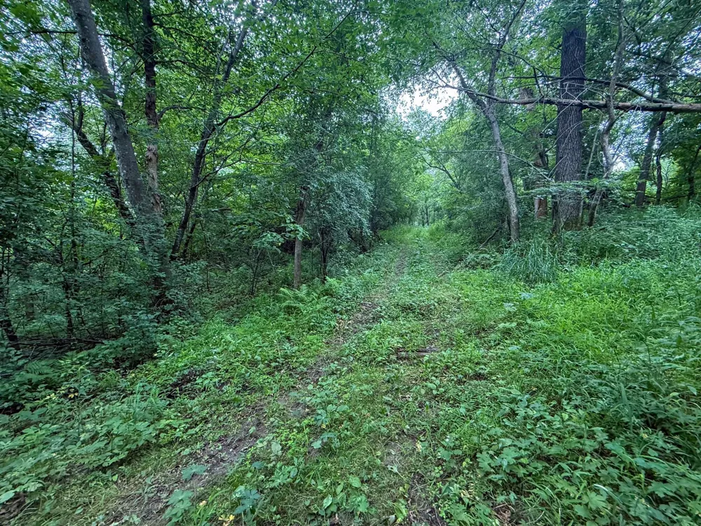 tbd 590th Street Kellogg, MN 55964