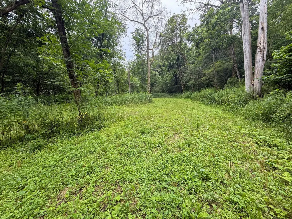 tbd 590th Street Kellogg, MN 55964