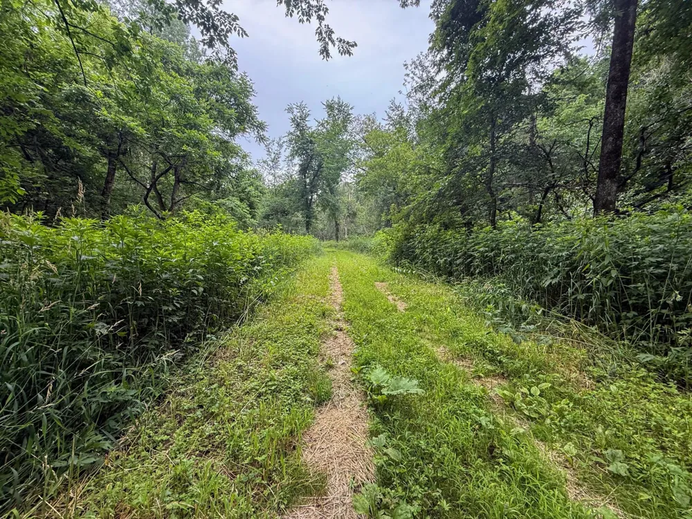 tbd 590th Street Kellogg, MN 55964