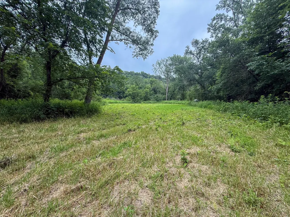 tbd 590th Street Kellogg, MN 55964