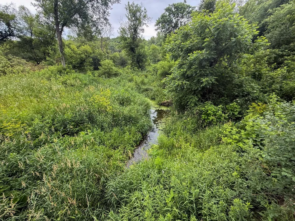 tbd 590th Street Kellogg, MN 55964