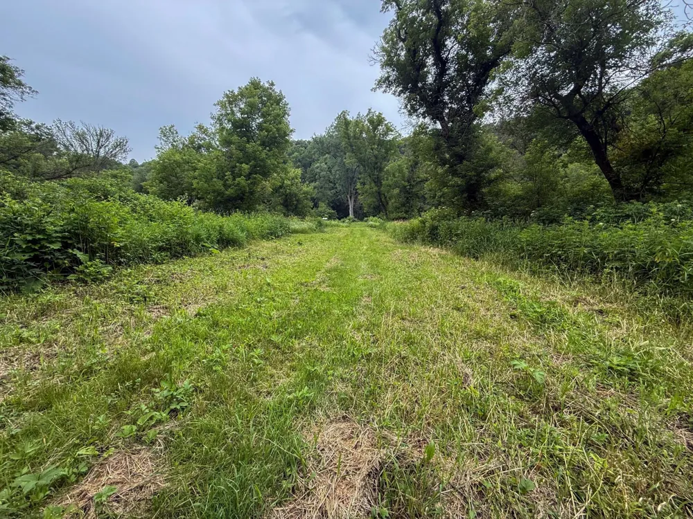 tbd 590th Street Kellogg, MN 55964