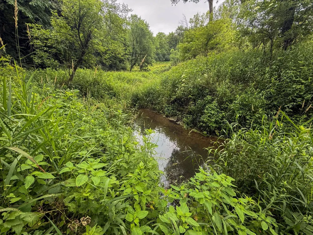 tbd 590th Street Kellogg, MN 55964