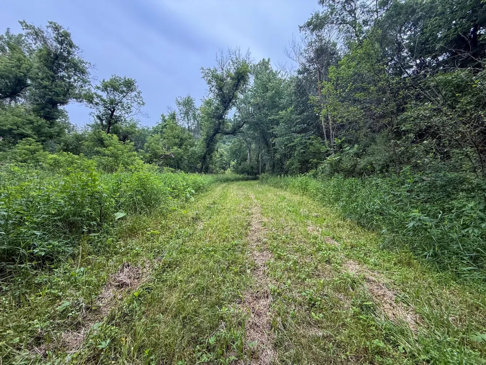 tbd 590th Street Kellogg, MN 55964