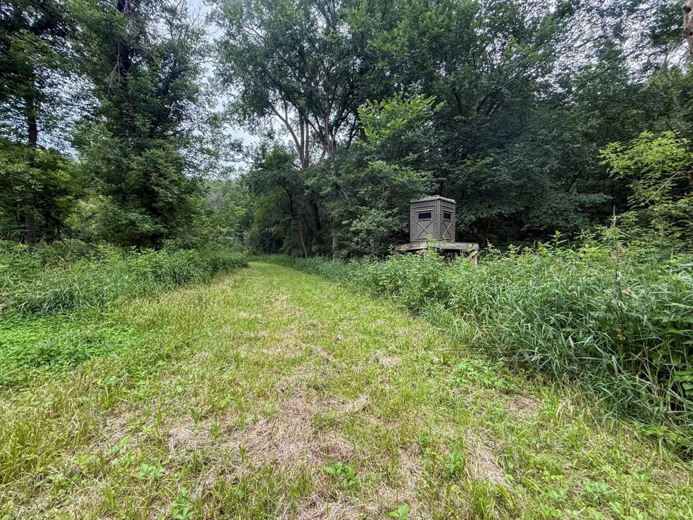 tbd 590th Street Kellogg, MN 55964