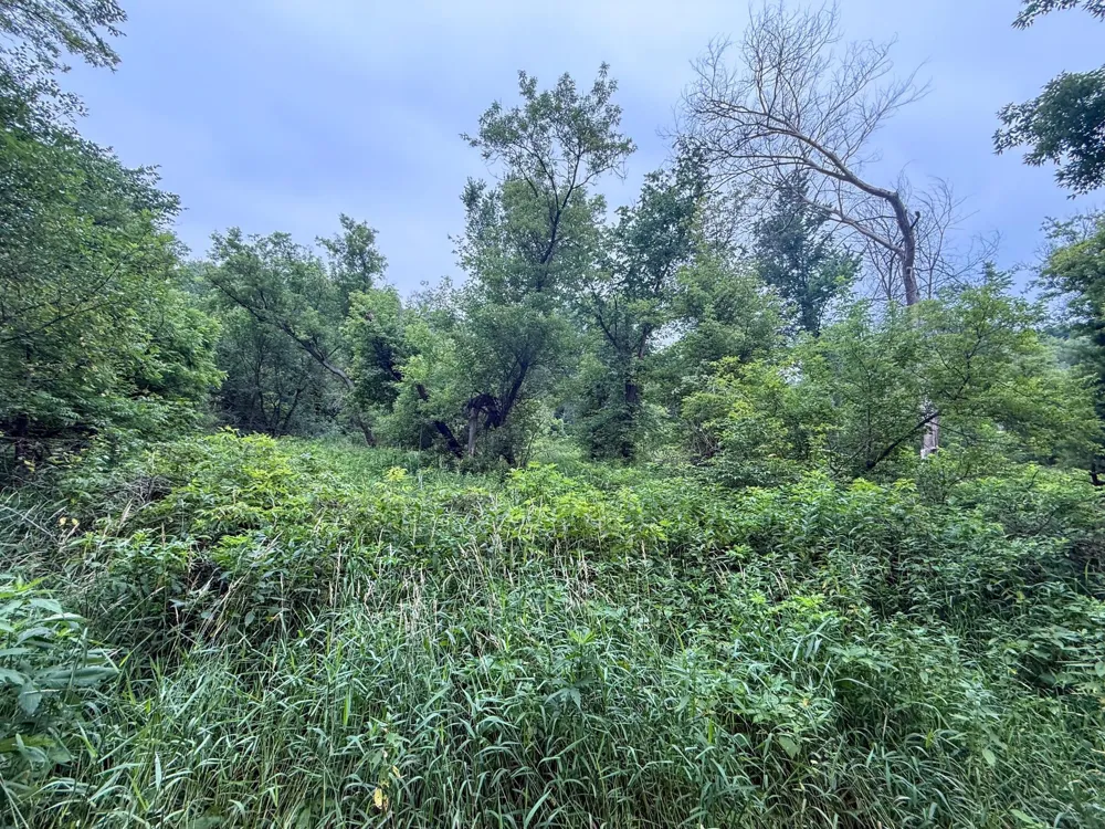 tbd 590th Street Kellogg, MN 55964