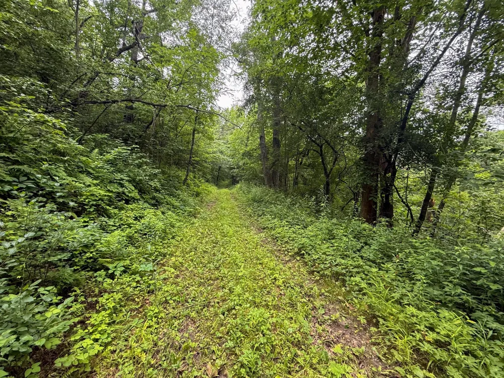 tbd 590th Street Kellogg, MN 55964