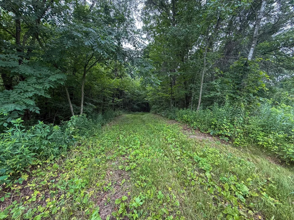 tbd 590th Street Kellogg, MN 55964