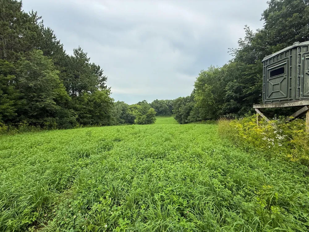tbd 590th Street Kellogg, MN 55964