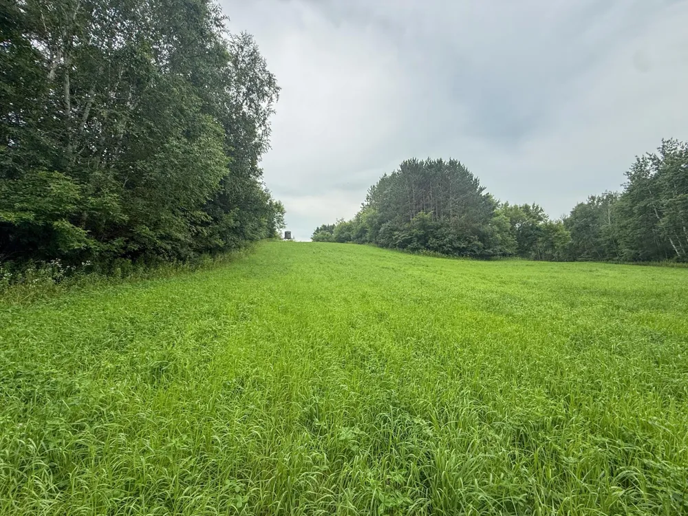 tbd 590th Street Kellogg, MN 55964