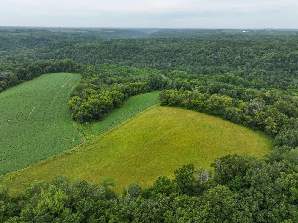 tbd 590th Street Kellogg, MN 55964