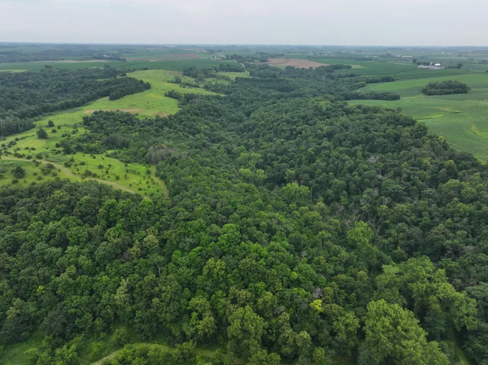 tbd 590th Street Kellogg, MN 55964