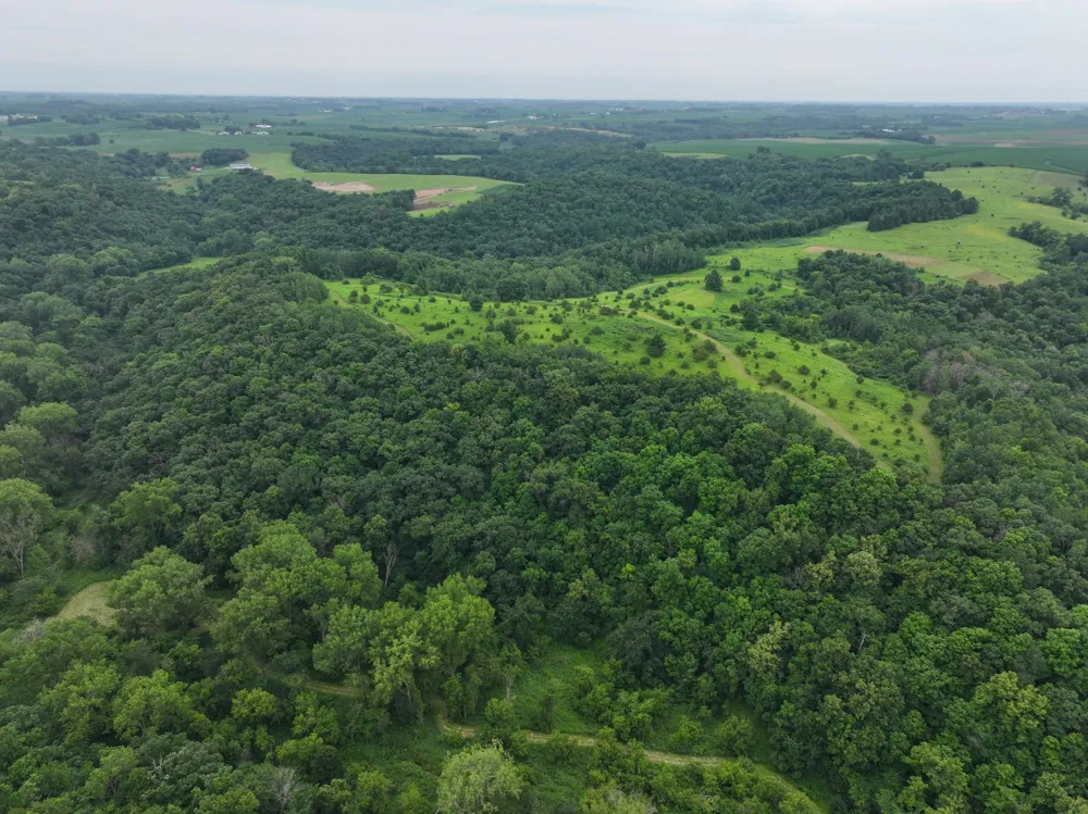 tbd 590th Street Kellogg, MN 55964