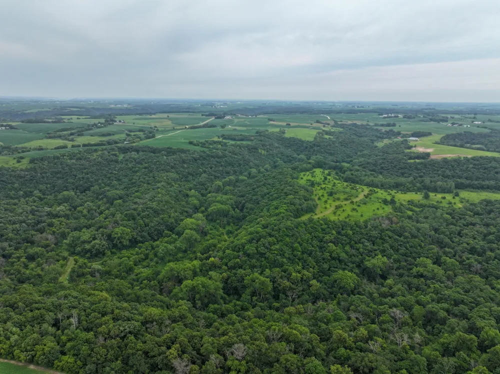 tbd 590th Street Kellogg, MN 55964