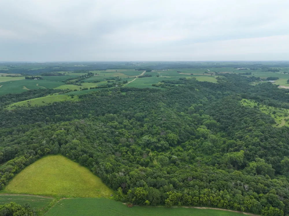 tbd 590th Street Kellogg, MN 55964
