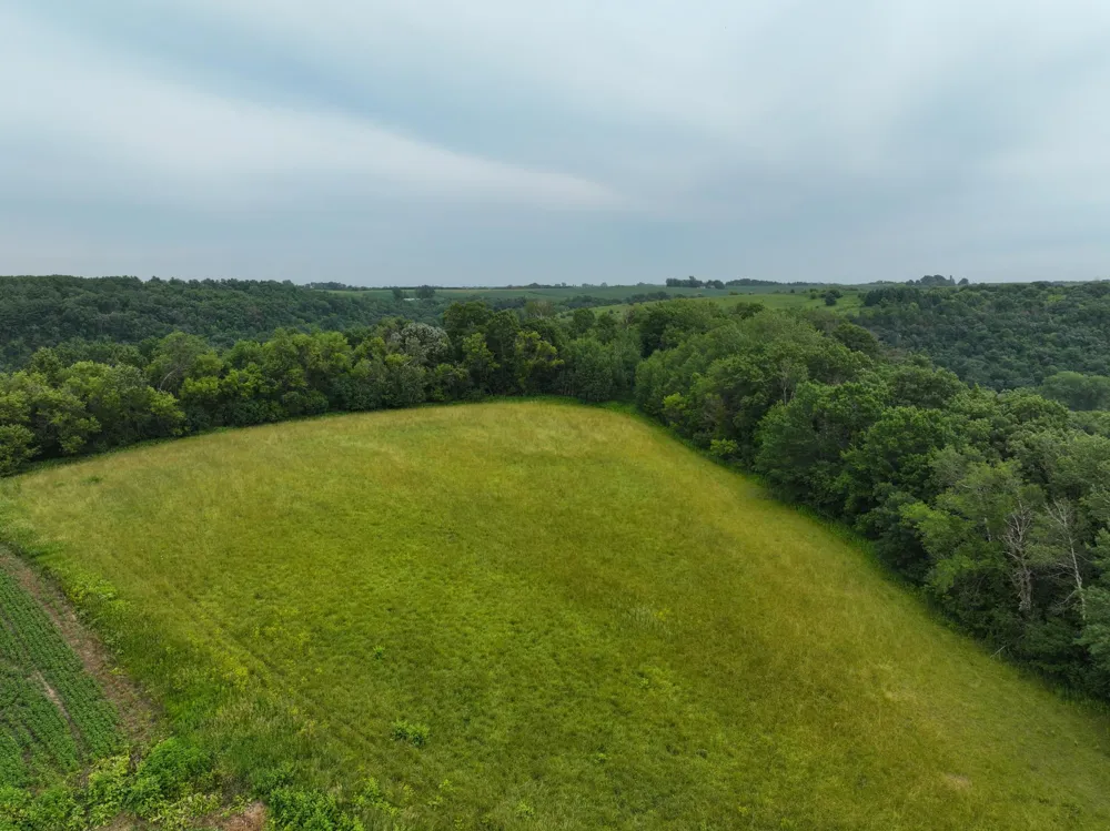 tbd 590th Street Kellogg, MN 55964