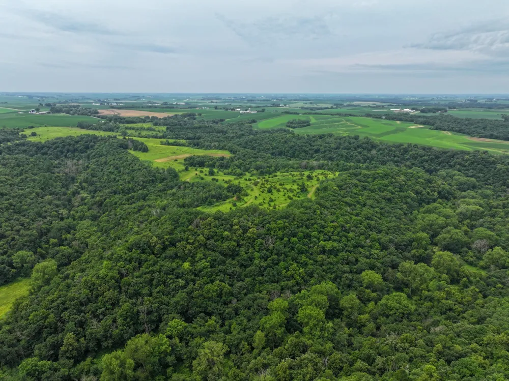 tbd 590th Street Kellogg, MN 55964