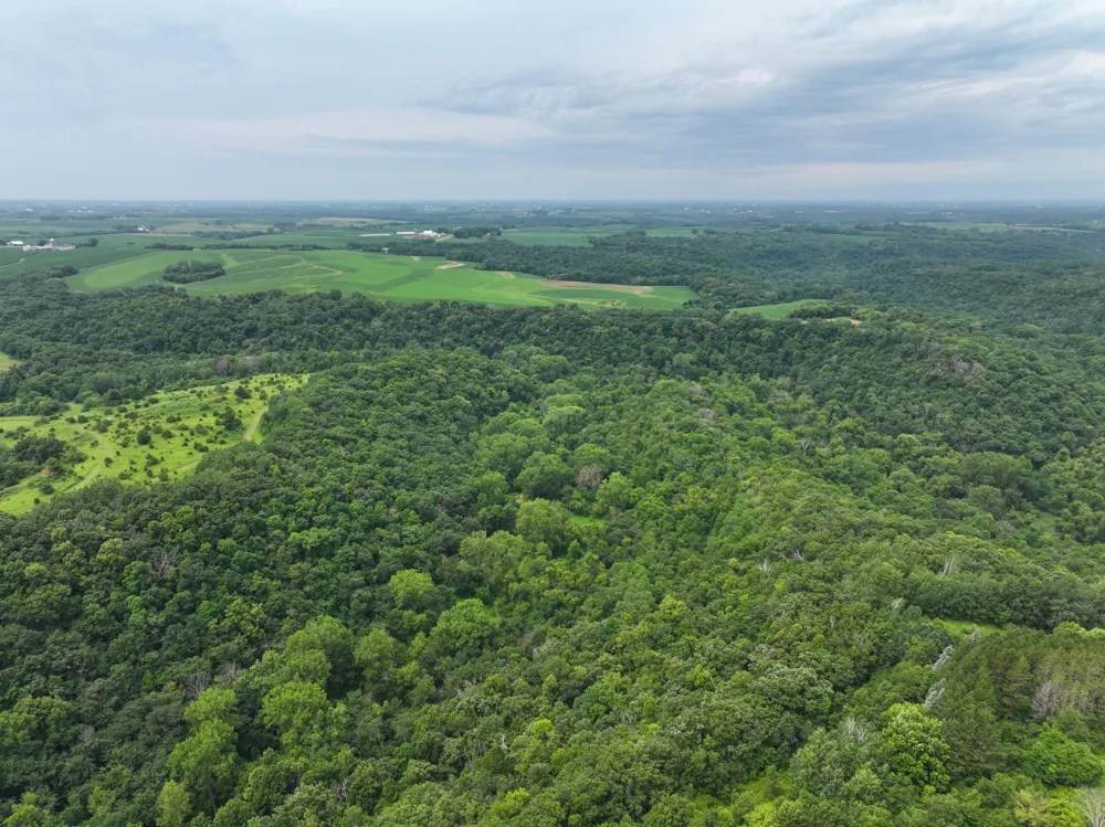tbd 590th Street Kellogg, MN 55964