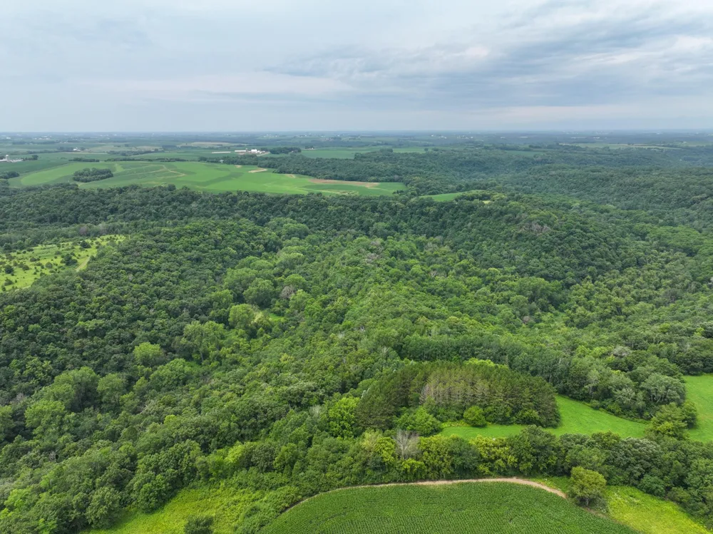 tbd 590th Street Kellogg, MN 55964
