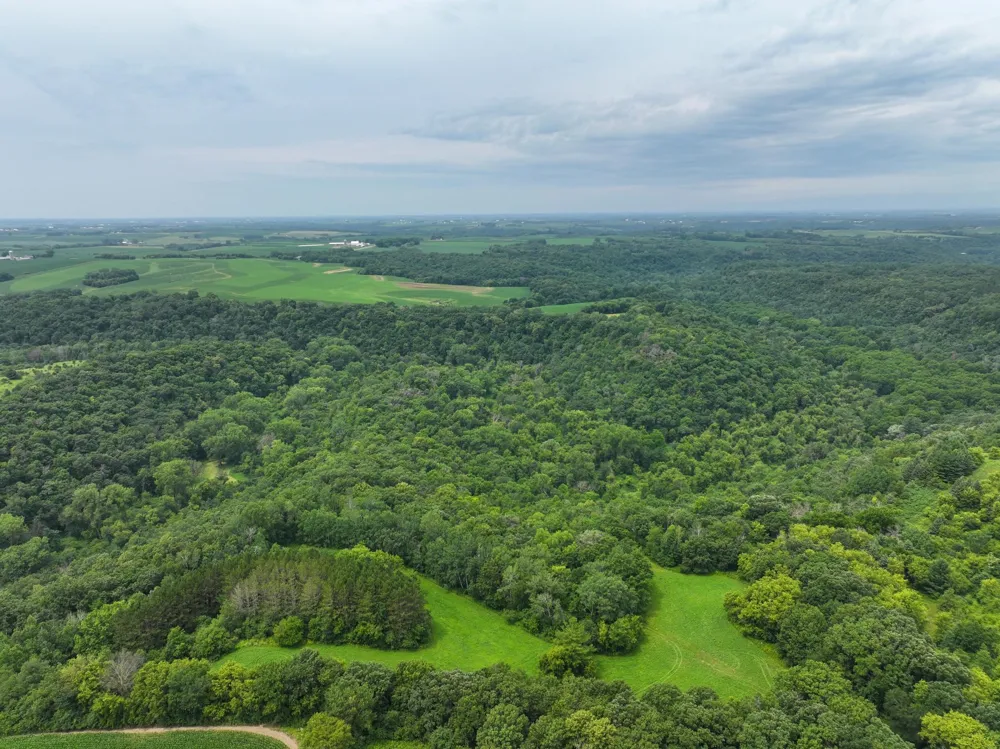 tbd 590th Street Kellogg, MN 55964