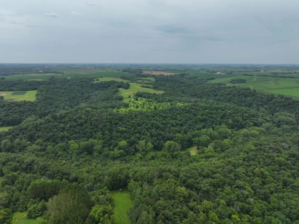 tbd 590th Street Kellogg, MN 55964