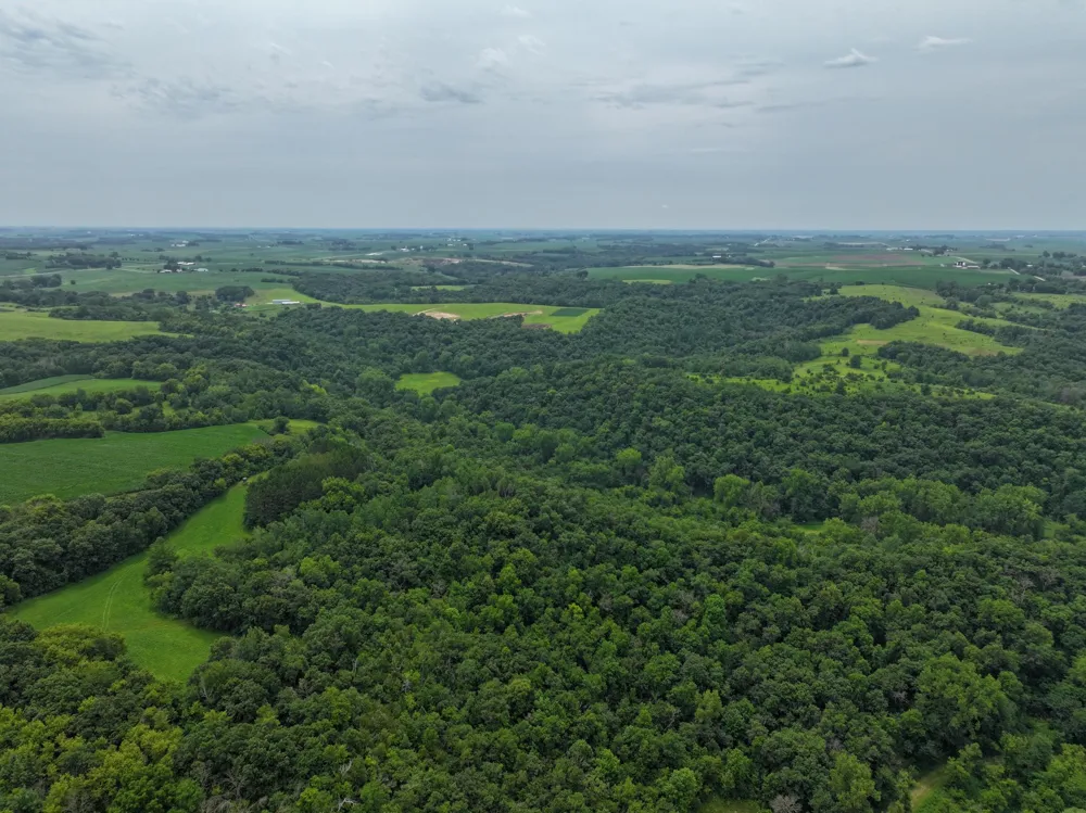tbd 590th Street Kellogg, MN 55964