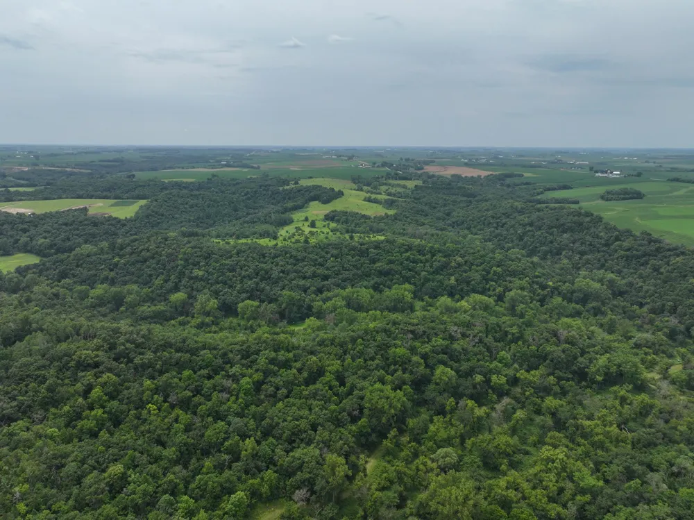 tbd 590th Street Kellogg, MN 55964