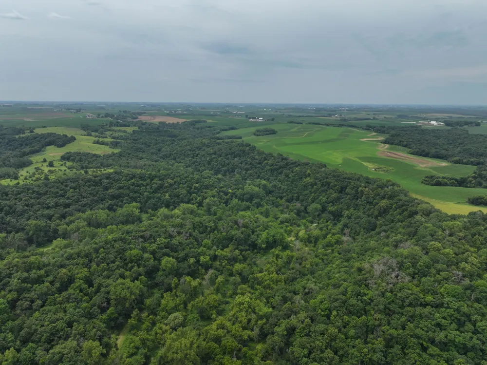 tbd 590th Street Kellogg, MN 55964