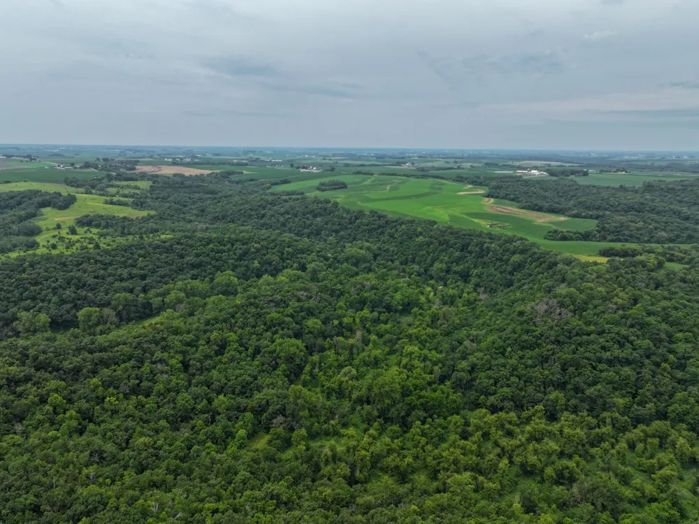 tbd 590th Street Kellogg, MN 55964