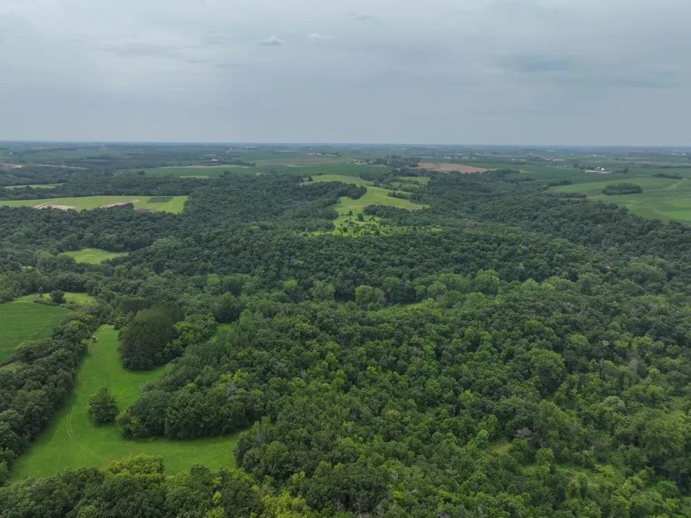tbd 590th Street Kellogg, MN 55964