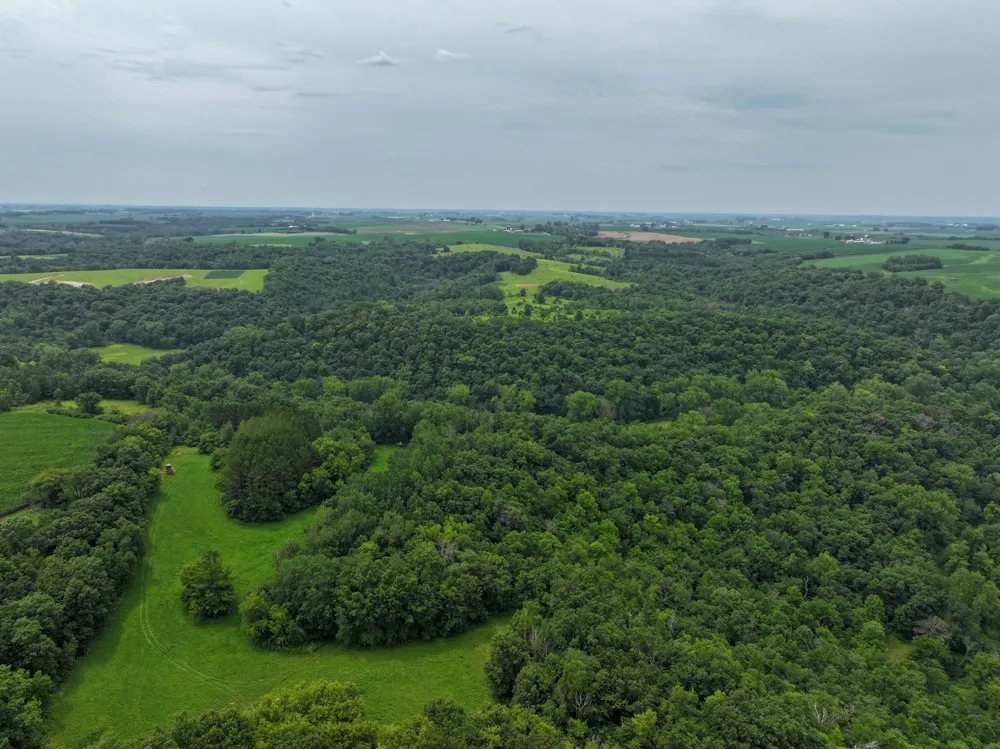 tbd 590th Street Kellogg, MN 55964