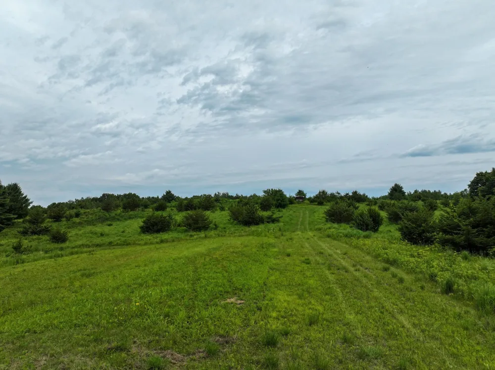 tbd 590th Street Kellogg, MN 55964
