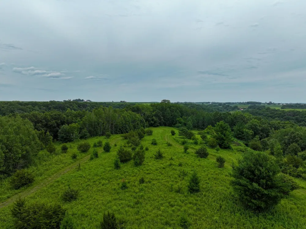 tbd 590th Street Kellogg, MN 55964