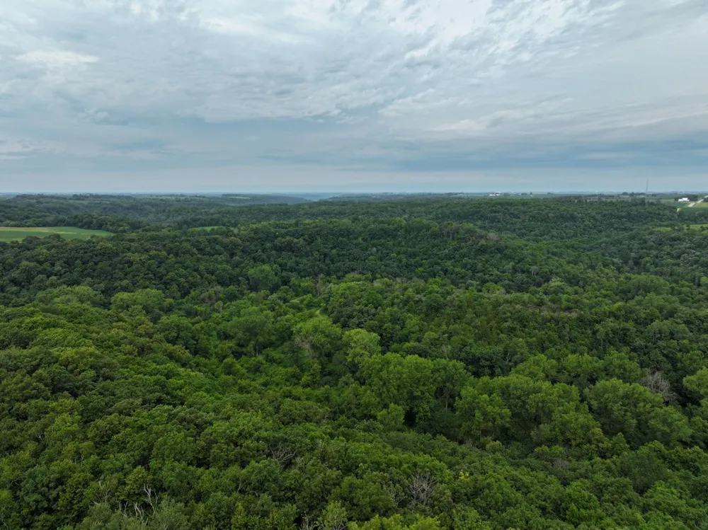 tbd 590th Street Kellogg, MN 55964